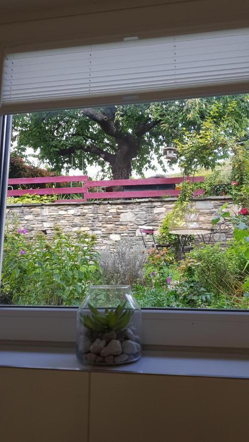 Blick Ueber Krems Mit Gartenpavillon Esterno foto